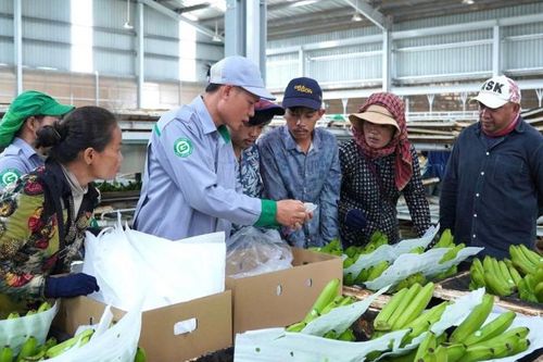 Thaco Agri nhắm doanh thu gấp 4 lần năm trước
