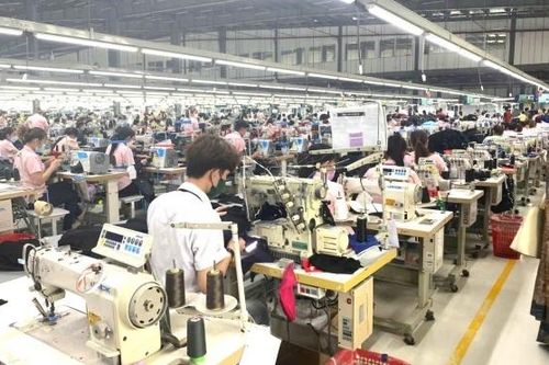 Vĩnh Long: 100% doanh nghiệp, người lao động trở lại làm việc