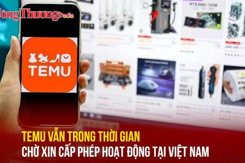 Temu vẫn trong thời gian chờ xin cấp phép hoạt động tại Việt Nam