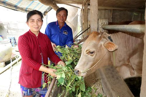 Kỳ 5: Chăm chỉ - nền sáng tạo