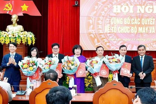 Đồng chí Phạm Thị Tố Hải được bổ nhiệm, giữ chức Trưởng ban Tuyên giáo và Dân vận Tỉnh ủy Gia Lai