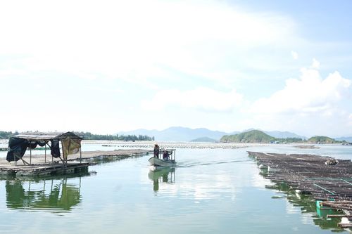 Hơn 420 triệu đồng giám sát một số dịch bệnh nguy hiểm trên thủy sản nuôi