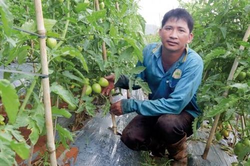 Di Linh: Tạo nguồn nhân lực chất lượng cao