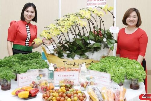 Hỗ trợ khởi nghiệp đổi mới, sáng tạo