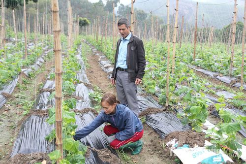 Nâng cao vai trò Bí thư Chi bộ thôn, bản - Bài 1: Những người gánh 2 vai