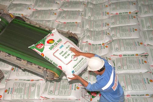 Đạm Cà Mau (DCM) đón loạt yếu tố thuận lợi, đẩy mạnh tiêu thụ NPK và xuất khẩu