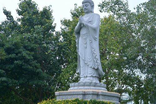 Cuộc đời vi diệu