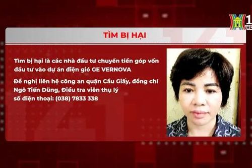 Tìm bị hại trong dự án lừa đảo 'điện gió GE Vernova'