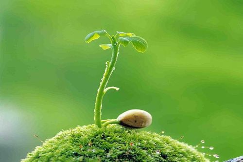 Trao đổi với 'AI': Vậy, quy luật nhân quả ở đây là...?