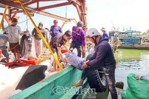 Niềm vui chuyến biển đầu năm