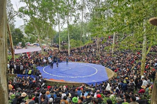 Lễ hội đền vua Mai: Vây quanh núi xem các đô vật trổ tài