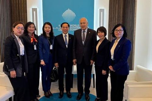 Tổng Thư ký Liên đoàn Arab ngưỡng mộ quá trình phát triển bền bỉ của Việt Nam