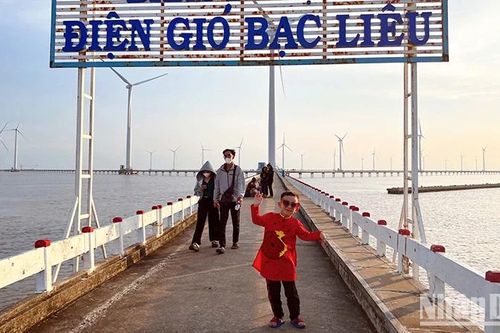 Trên những cánh đồng 'gặt' gió