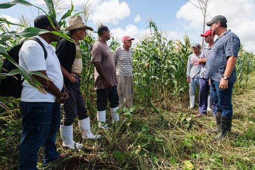 Cuba nỗ lực giải bài toán lương thực