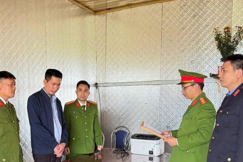 Khởi tố Giám đốc Công ty TNHH Xây dựng và Thương mại Lục Giang Sơn