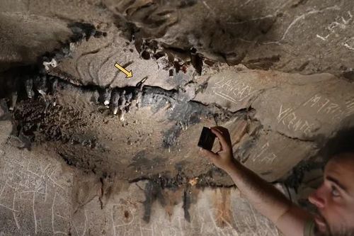 Bất ngờ tìm thấy 'kho báu' vô giá trong hang động bị ngập nước
