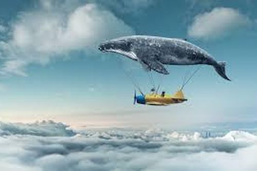 Lộ diện khinh khí cầu 'cá voi bay' dài 200 m, công nghệ đỉnh sao?