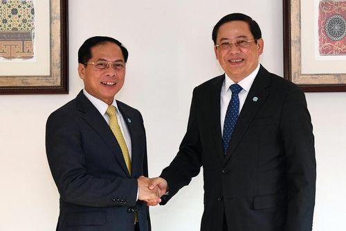 Phó Thủ tướng Bùi Thanh Sơn hội kiến Thủ tướng Lào và gặp các lãnh đạo UAE