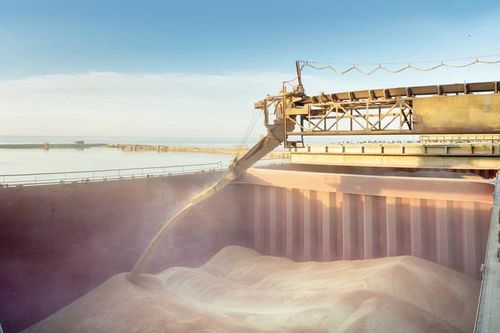 Xuất khẩu lúa mì của Nga đạt mức cao kỷ lục