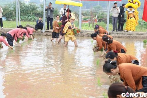 Về Phú Thọ xem tái hiện tích xưa Vua Hùng dạy dân cấy lúa tại lễ hội đầu xuân