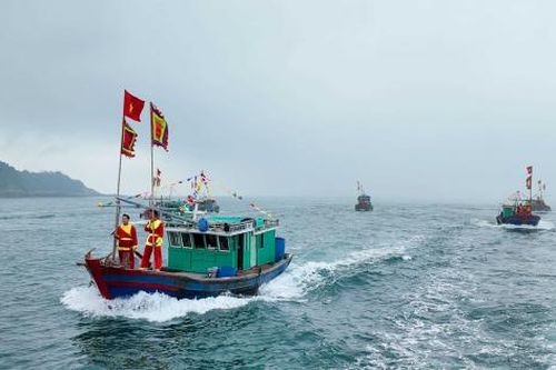 Huyện đảo Cô Tô - Quảng Ninh mở cửa biển đầu năm