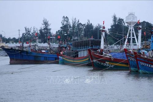 Các tỉnh, thành phố từ Quảng Ngãi đến Kiên Giang chủ động ứng phó áp thấp nhiệt đới