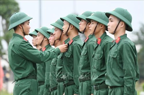 Khoảng 800 thanh niên Quảng Ninh viết đơn tình nguyện, xung phong nhập ngũ