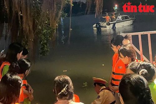 TP Hồ Chí Minh: Hỗ trợ người dân thả cá phóng sinh dịp rằm tháng Giêng