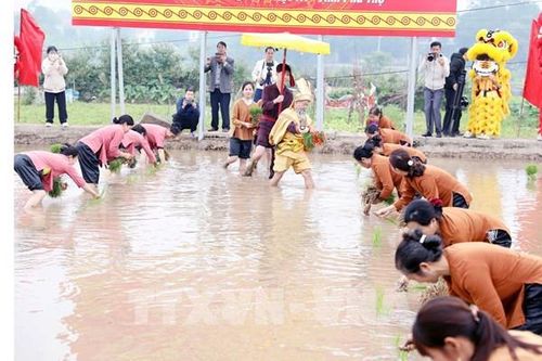 Độc đáo Lễ hội vua Hùng dạy dân cấy lúa ở Phú Thọ