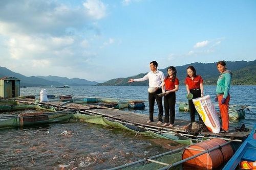 Tín dụng nông thôn: Có thể vay tối đa 3 tỷ đồng không tài sản bảo đảm