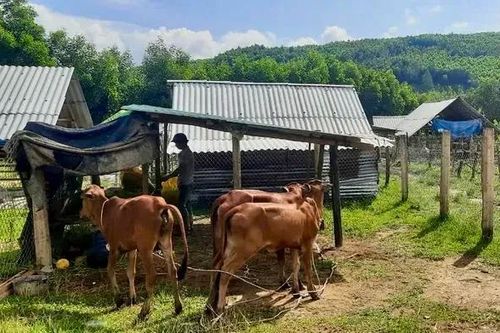 6 tỉnh, thành phố không còn hộ nghèo