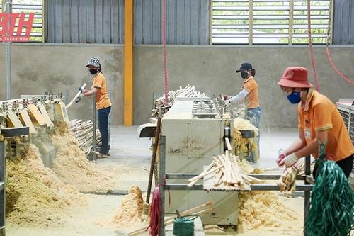 Phát triển lâm nghiệp bền vững gắn với chế biến