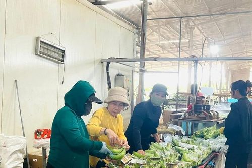 Gia Lai cảnh báo vi phạm quy định về an toàn thực phẩm