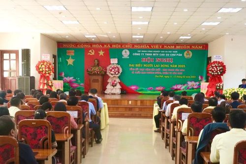 Công ty TNHH một thành viên Cao su Chư Păh đạt lợi nhuận trước thuế hơn 111 tỷ đồng