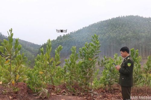 Đình Lập: Ứng dụng khoa học công nghệ nâng hiệu quả cập nhật diễn biến rừng