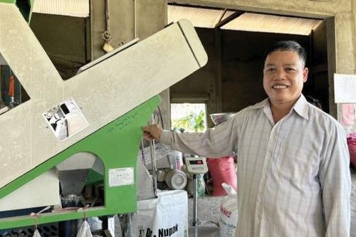 Tìm hướng đi cho hạt lúa thơm