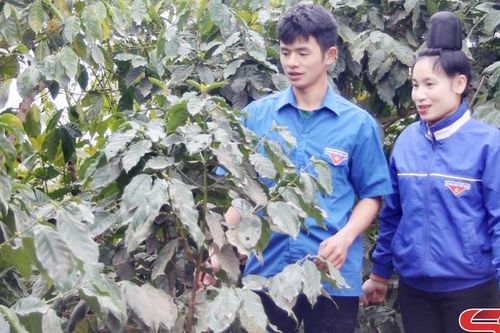 Thanh niên Chiềng Bôm lập nghiệp