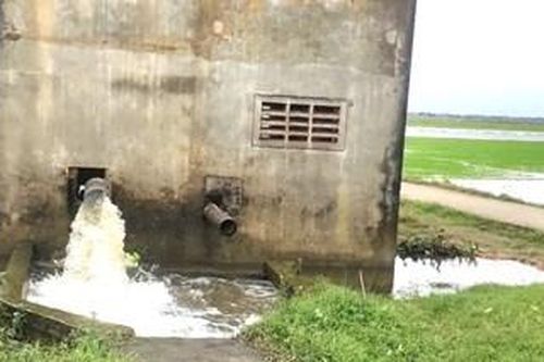 Phong Điền: Hơn 1.000 ha lúa bị ngập úng do mưa