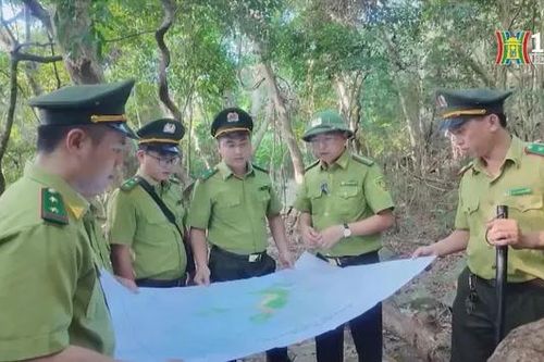 Những người bảo vệ màu xanh Côn Đảo