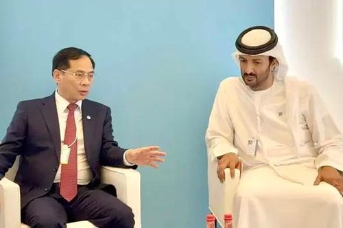 Nhiều doanh nghiệp UAE quan tâm đến thị trường Việt Nam