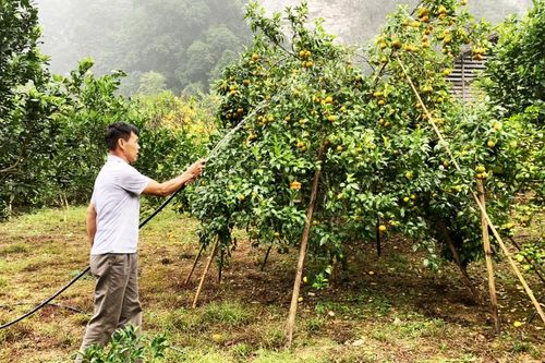 Chú trọng xây dựng thương hiệu cho nông sản địa phương