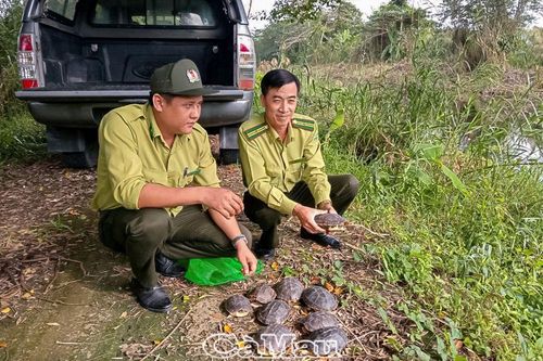 Thay đổi cách ứng xử với động vật hoang dã