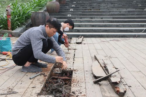 Công nhân khắc phục những vết mục nát trên cầu gỗ lim siêu sang ở Huế thế nào?