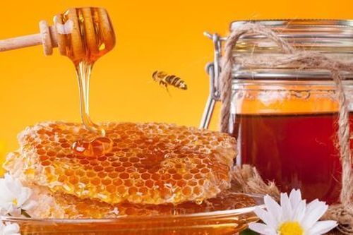 7 trường hợp nên tránh và thận trọng khi dùng mật ong