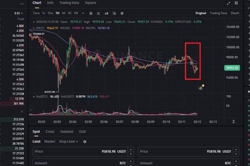 Giá Bitcoin ngày 12/2 bị bán tháo