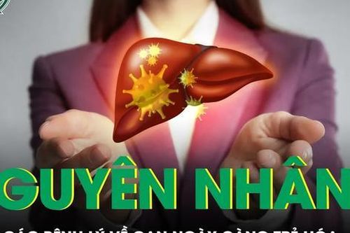 Nguyên nhân nào khiến các bệnh lý về gan trẻ hóa?