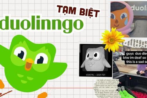 Duolingo chào tạm biệt: Cú xanh thực sự 'đăng xuất' hay chiêu mới 'dí' học bài?