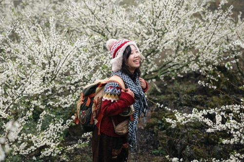Thấy gì từ mùa hoa mận 'hot' nhất nhiều năm qua ở Mộc Châu?