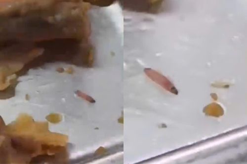 Trường mời Sở ATTP kiểm tra sau vụ phát hiện ấu trùng trong suất ăn