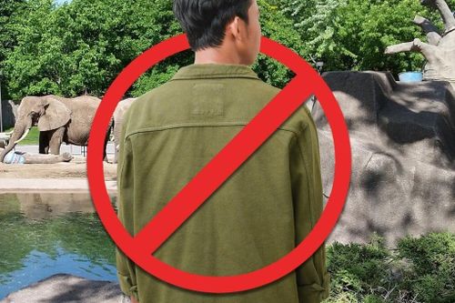 Vườn thú Nhật Bản cấm khách nam đi một mình